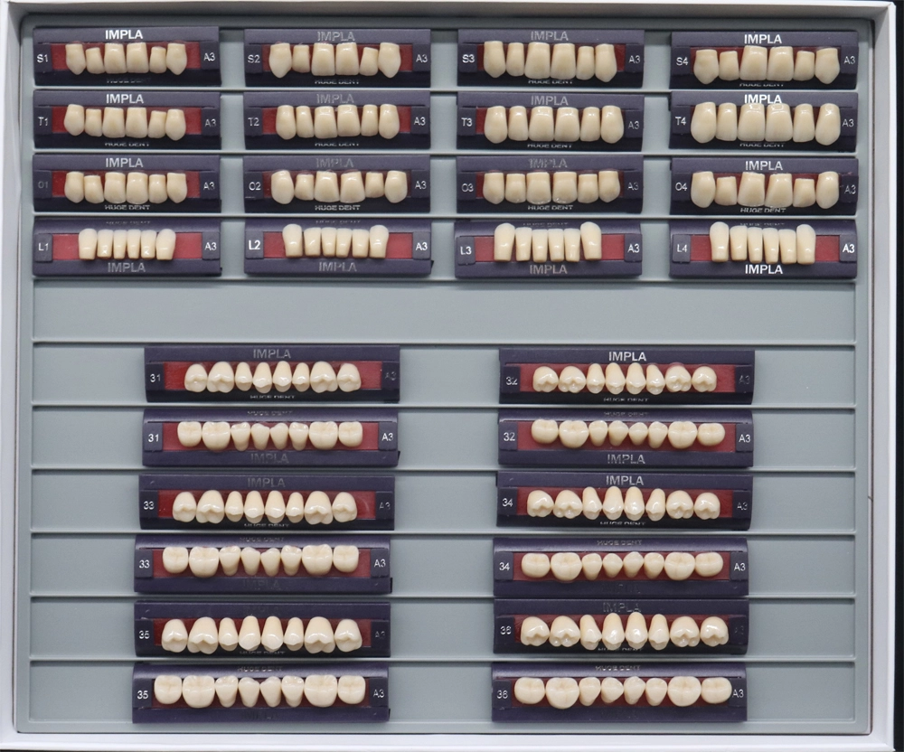 Teeth Living Mould Guide